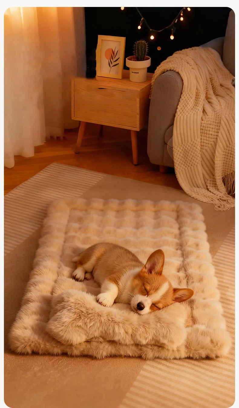 Luxury Soft Fluffy Solid Pet Blanket with Pillow Portable Thickened Machine-Washable Warm Plush Dog Bed Accesorios Para Perros