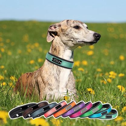 Personalized Reflective Dog Collar with Detachable Name Tag Soft Neoprene Padded Adjustable Nylon Collar for Dogs Pet Pitbulls