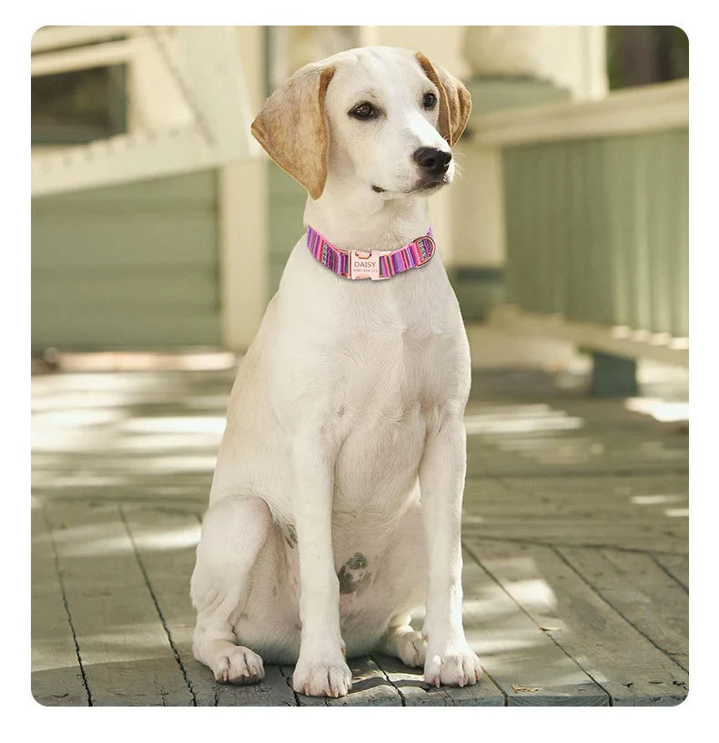 Bohemian Striped Dog Collar Custom Engraved with Rose Gold Buckle Personalized Nylon Collar for Small Large Dogs Daily Walking