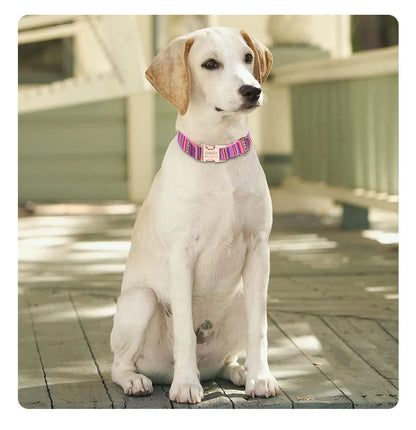 Bohemian Striped Dog Collar Custom Engraved with Rose Gold Buckle Personalized Nylon Collar for Small Large Dogs Daily Walking