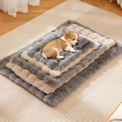 Luxury Soft Fluffy Solid Pet Blanket with Pillow Portable Thickened Machine-Washable Warm Plush Dog Bed Accesorios Para Perros
