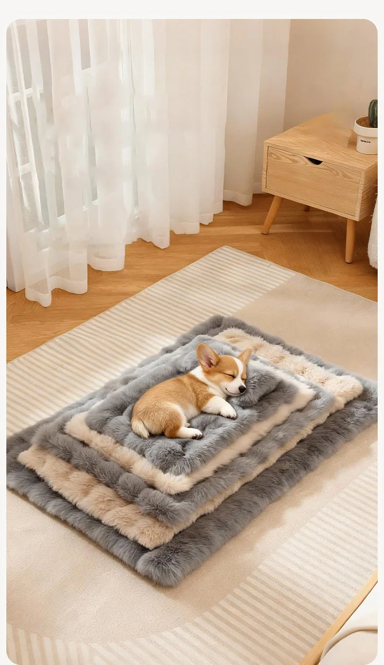 Luxury Soft Fluffy Solid Pet Blanket with Pillow Portable Thickened Machine-Washable Warm Plush Dog Bed Accesorios Para Perros