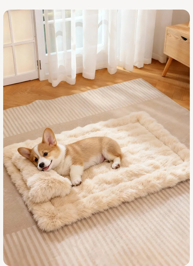 Luxury Soft Fluffy Solid Pet Blanket with Pillow Portable Thickened Machine-Washable Warm Plush Dog Bed Accesorios Para Perros