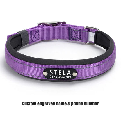 Personalized Reflective Dog Collar with Detachable Name Tag Soft Neoprene Padded Adjustable Nylon Collar for Dogs Pet Pitbulls
