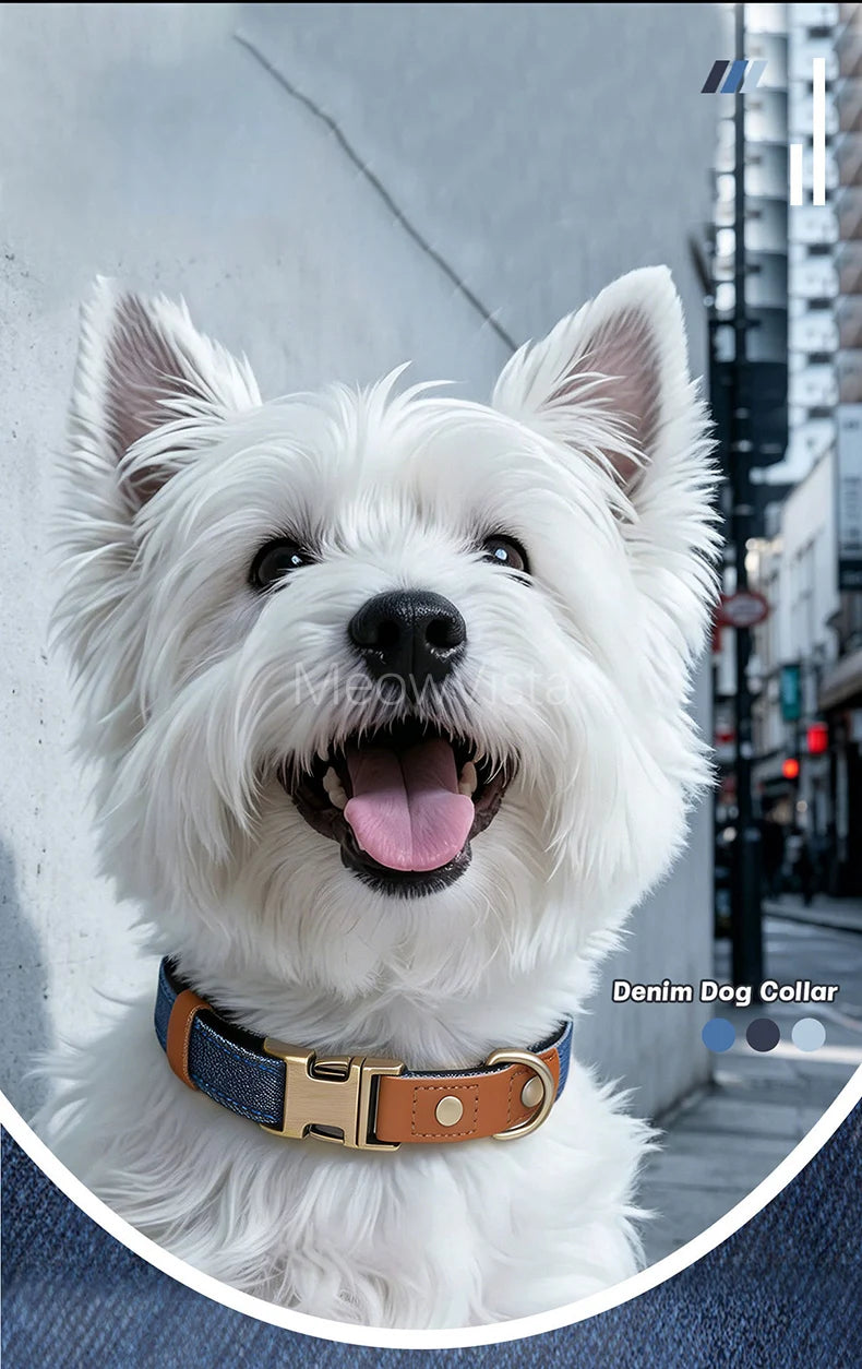 Personalized Denim Dog Collar with Engraved Quick Release Metal Buckle Adjustable Soft Padded anti-lost Pet Collar for Dogs