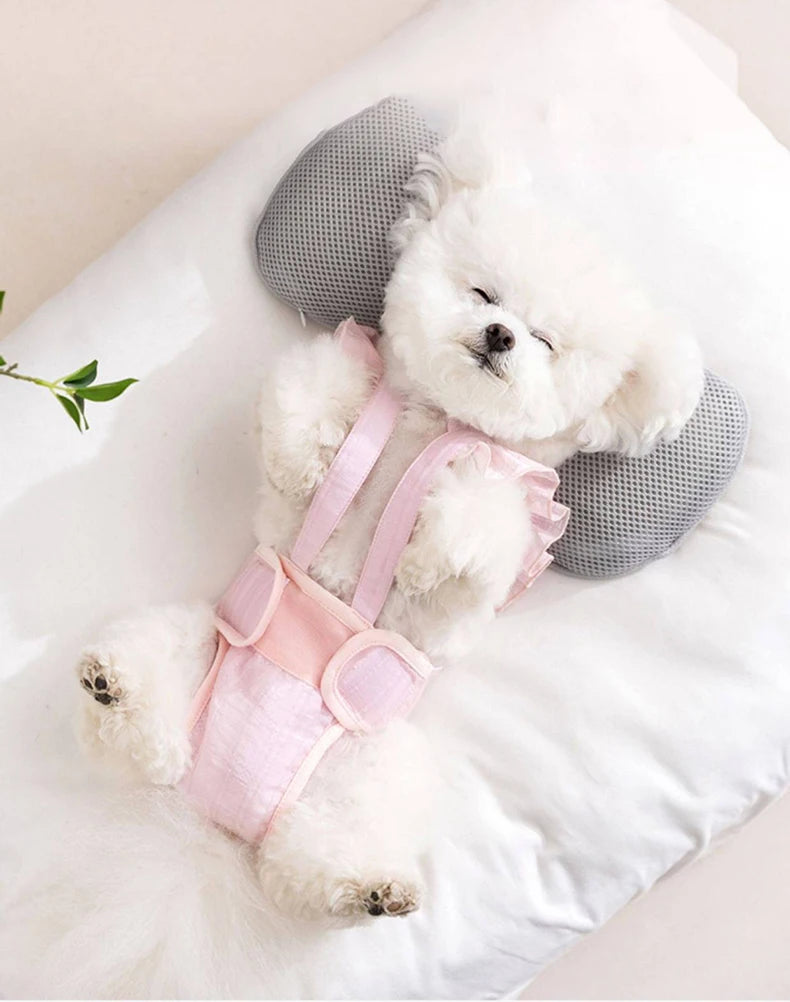Summer Breathable Female Dog Physiological Pants Anti-Snagging Sweet Ruffle Comfortable Adjustable Puppy Outfit Pet Homewear