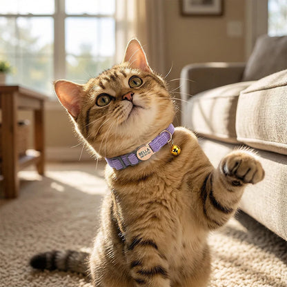 Adjustable Custom Engraved Cat Collar with Bell Anti-lost Durable Comfortable Soft Corduroy Kitten ID Collar Pet Safety Necklace
