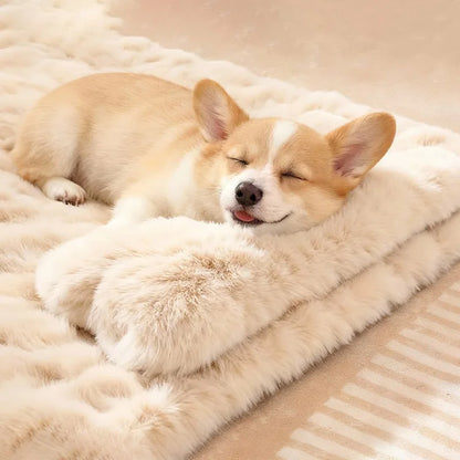Luxury Soft Fluffy Solid Pet Blanket with Pillow Portable Thickened Machine-Washable Warm Plush Dog Bed Accesorios Para Perros