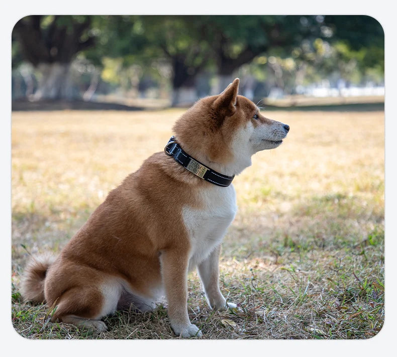 Personalized Dog Collar with Engraved Nameplate Adjustable Reflective Nylon Custom Pet Collar for Dogs  Anti-lost Pet ID Tag