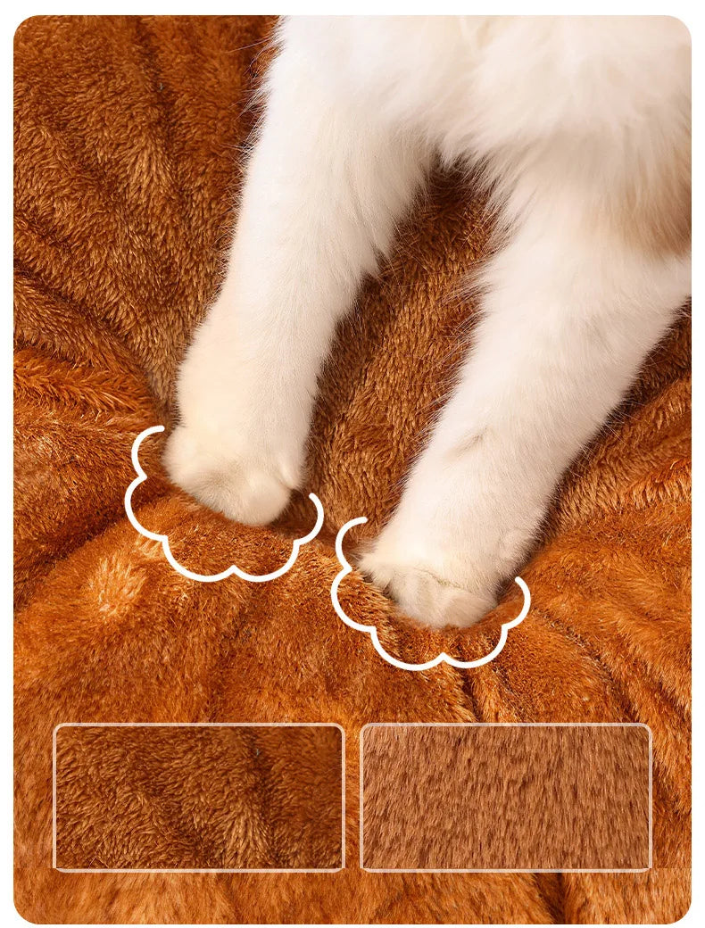 Winter Warm Enclosed Cat Tent Bed with Removable Cushion Portable Stable Luxurious Cozy Pet House for Small Dogs Pet Supplies