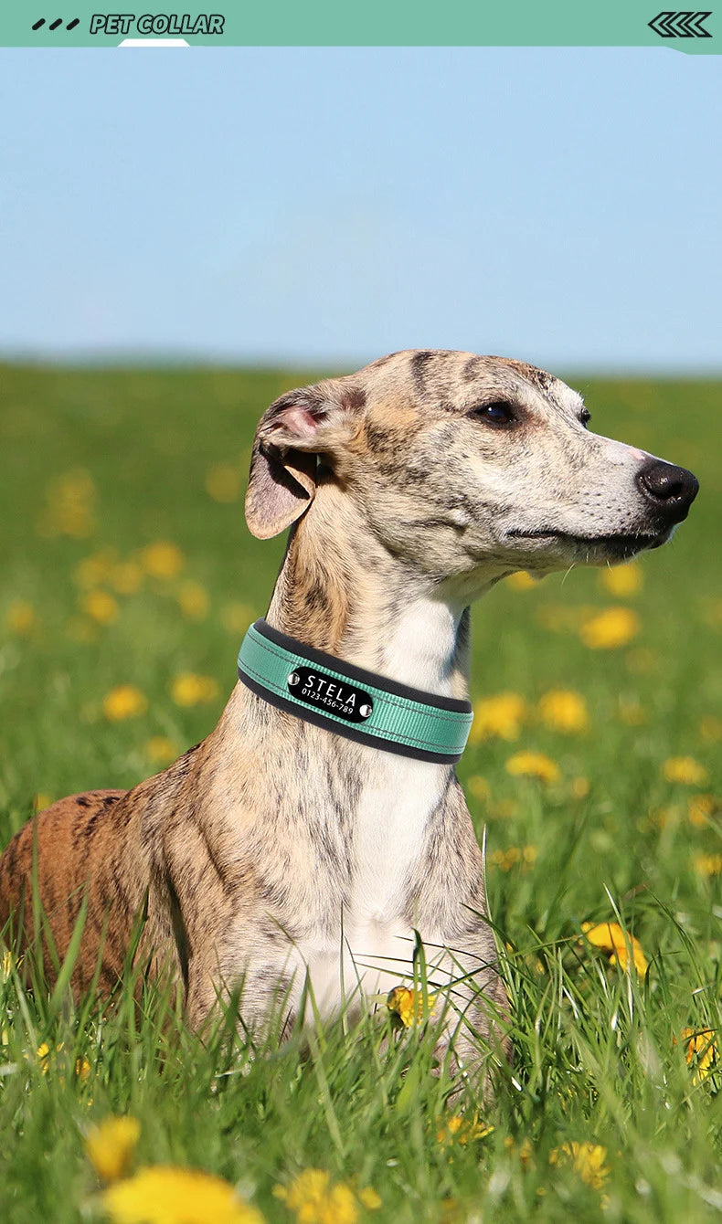 Personalized Reflective Dog Collar with Detachable Name Tag Soft Neoprene Padded Adjustable Nylon Collar for Dogs Pet Pitbulls