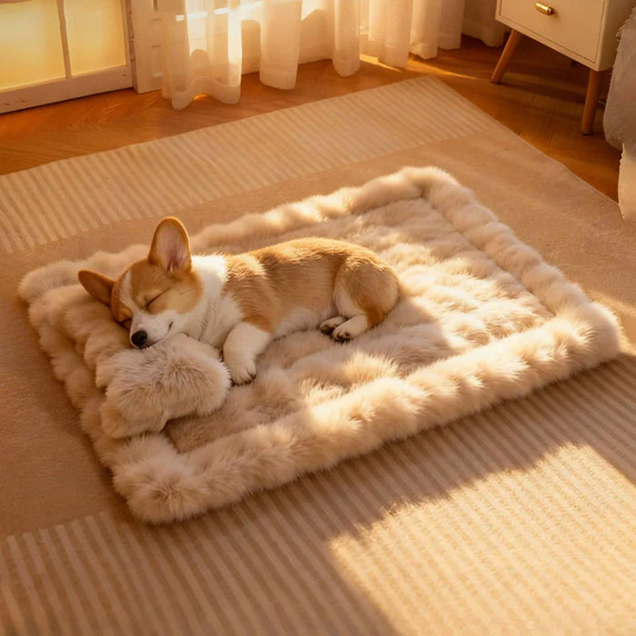 Luxury Soft Fluffy Solid Pet Blanket with Pillow Portable Thickened Machine-Washable Warm Plush Dog Bed Accesorios Para Perros