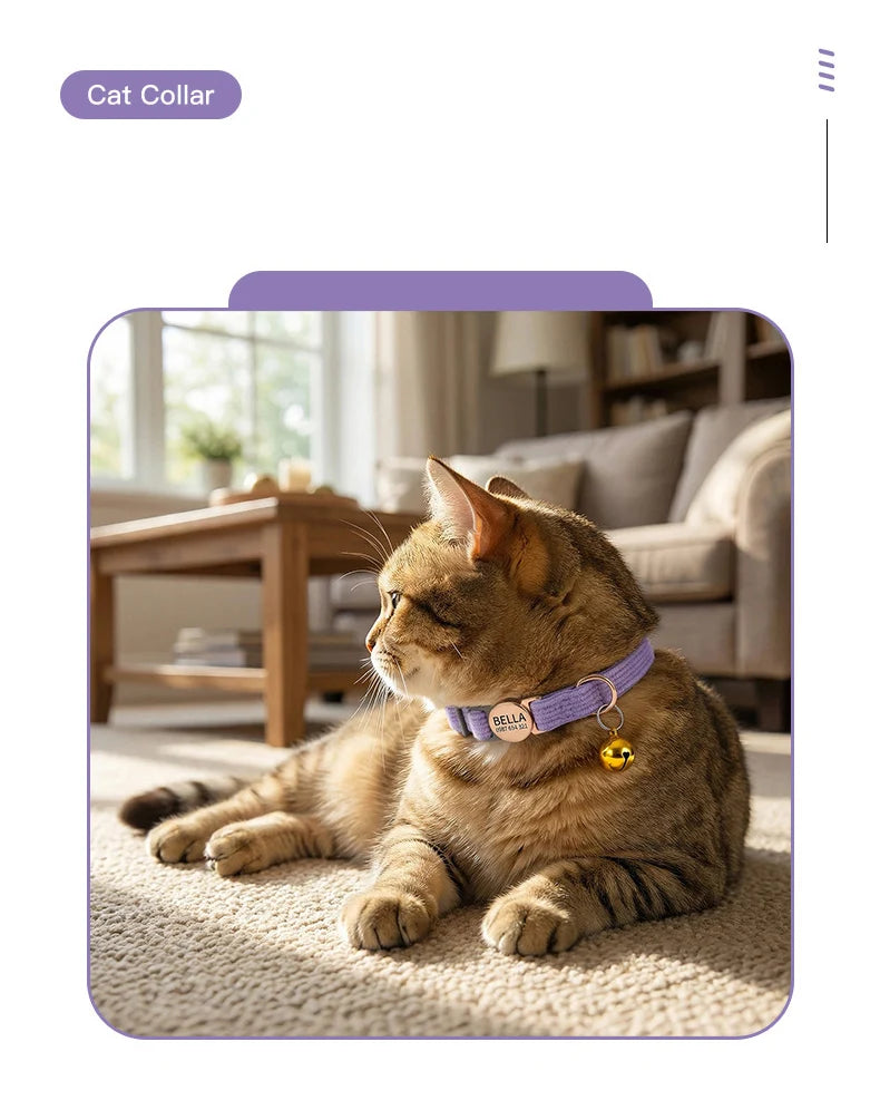Adjustable Custom Engraved Cat Collar with Bell Anti-lost Durable Comfortable Soft Corduroy Kitten ID Collar Pet Safety Necklace
