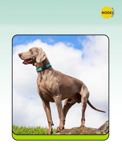 Personalized Reflective Dog Collar with Detachable Name Tag Soft Neoprene Padded Adjustable Nylon Collar for Dogs Pet Pitbulls