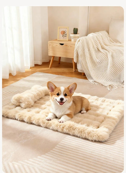 Luxury Soft Fluffy Solid Pet Blanket with Pillow Portable Thickened Machine-Washable Warm Plush Dog Bed Accesorios Para Perros